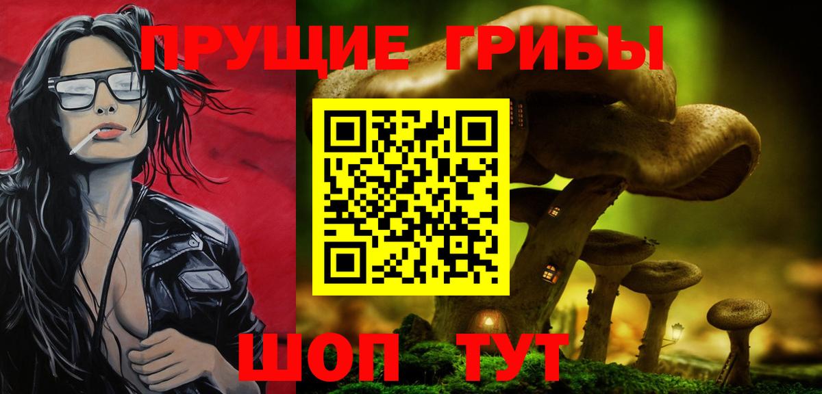 Галлюциногенные грибы мухоморы Артёмовский
