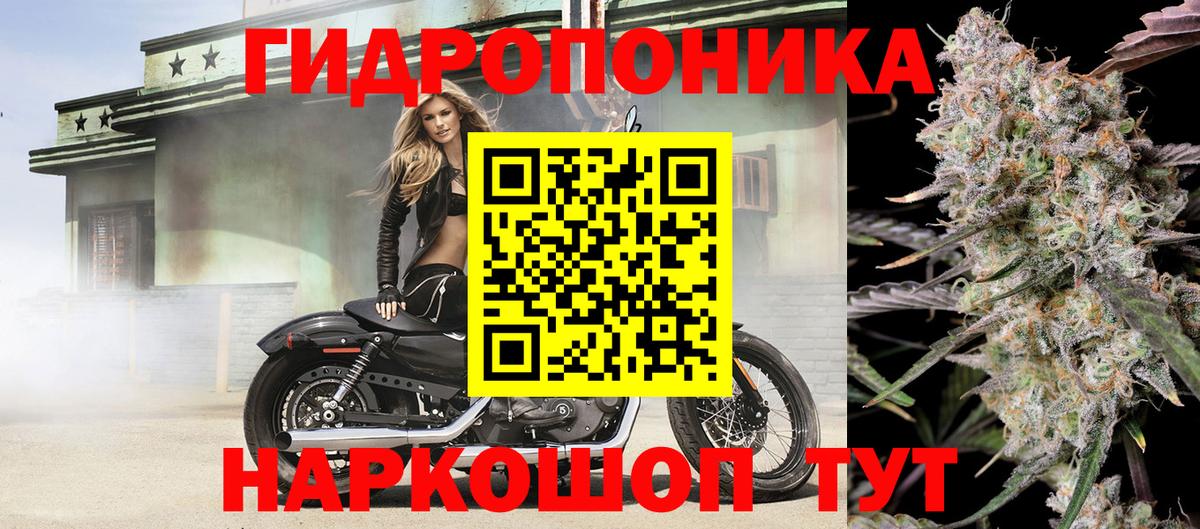Марихуана ГИДРОПОН  Бошки марихуана MAZAR  Вход с VPN  Артёмовский  Шишки марихуана ГИДРОПОН  Канабис план 